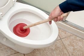 Blocked Toilet